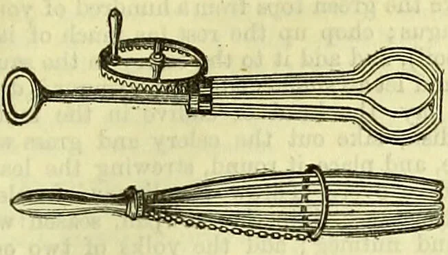 An illustration from Cassell's dictionary of cookery, with numerous engravings and full-page coloured plates : containing about nine thousand recipes., 1880, leaf 319