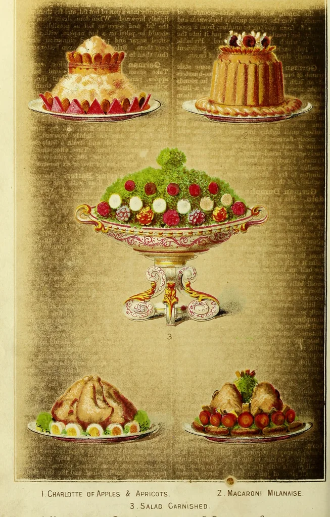An illustration from Cassell's dictionary of cookery, with numerous engravings and full-page coloured plates : containing about nine thousand recipes., 1880, leaf 366