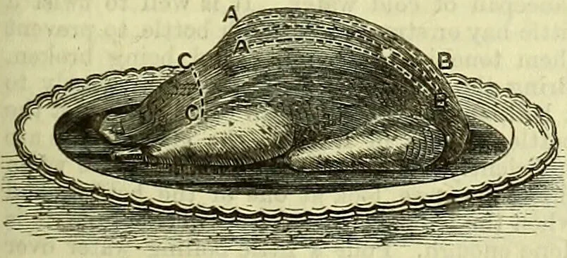 An illustration from Cassell's dictionary of cookery, with numerous engravings and full-page coloured plates : containing about nine thousand recipes., 1880, leaf 381