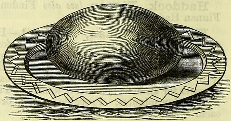 An illustration from Cassell's dictionary of cookery, with numerous engravings and full-page coloured plates : containing about nine thousand recipes., 1880, leaf 408