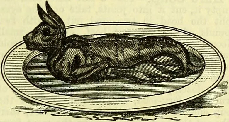 An illustration from Cassell's dictionary of cookery, with numerous engravings and full-page coloured plates : containing about nine thousand recipes., 1880, leaf 423