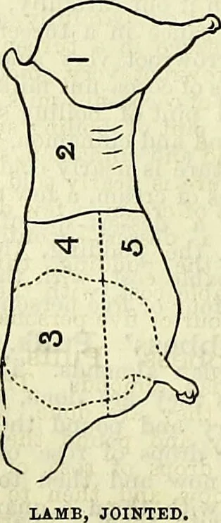An illustration from Cassell's dictionary of cookery, with numerous engravings and full-page coloured plates : containing about nine thousand recipes., 1880, leaf 470