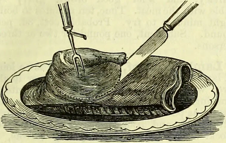 An illustration from Cassell's dictionary of cookery, with numerous engravings and full-page coloured plates : containing about nine thousand recipes., 1880, leaf 475