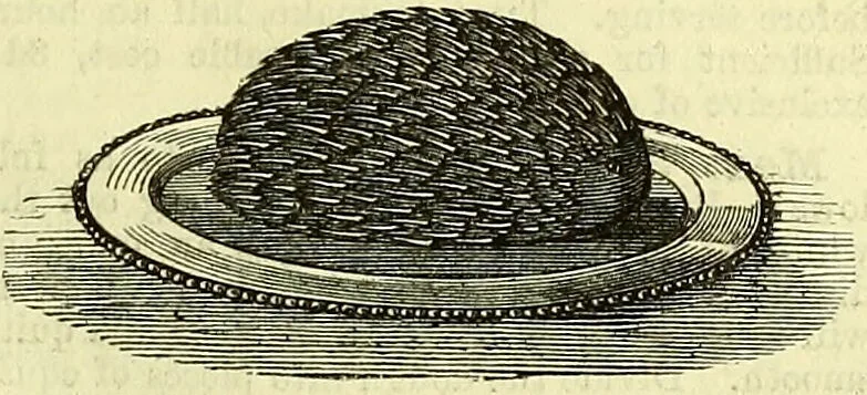 An illustration from Cassell's dictionary of cookery, with numerous engravings and full-page coloured plates : containing about nine thousand recipes., 1880, leaf 535