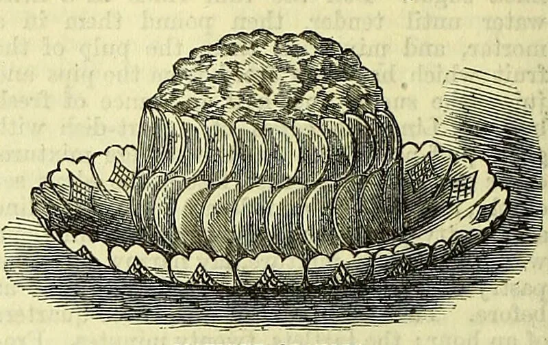 An illustration from Cassell's dictionary of cookery, with numerous engravings and full-page coloured plates : containing about nine thousand recipes., 1880, leaf 602