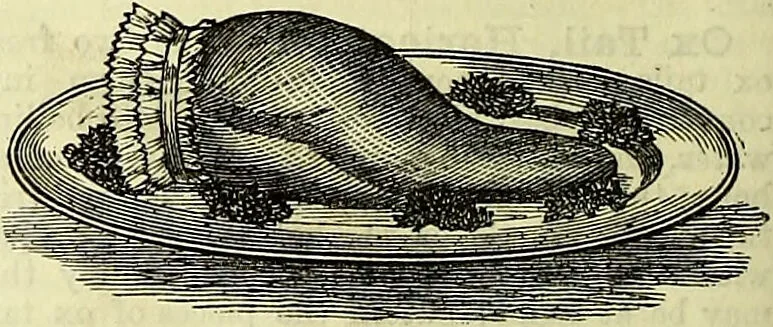 An illustration from Cassell's dictionary of cookery, with numerous engravings and full-page coloured plates : containing about nine thousand recipes., 1880, leaf 608