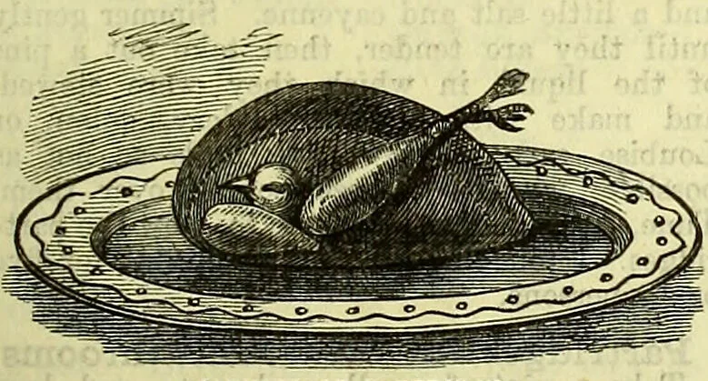 An illustration from Cassell's dictionary of cookery, with numerous engravings and full-page coloured plates : containing about nine thousand recipes., 1880, leaf 633