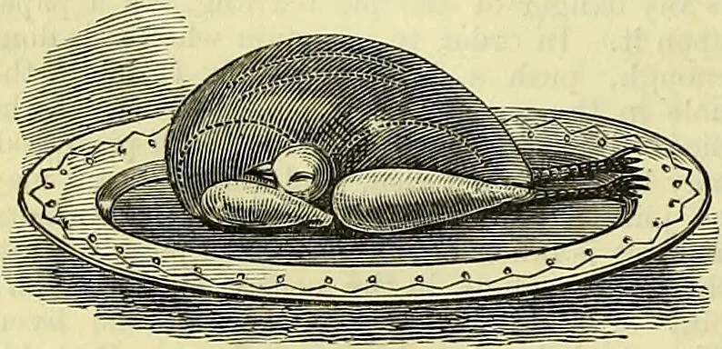 An illustration from Cassell's dictionary of cookery, with numerous engravings and full-page coloured plates : containing about nine thousand recipes., 1880, leaf 666