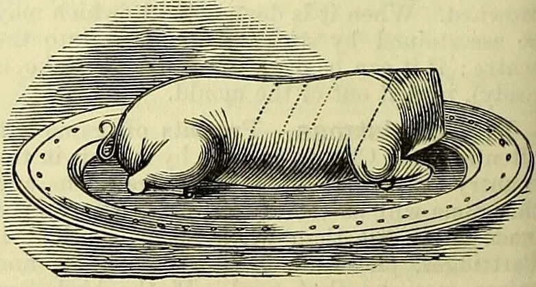 An illustration from Cassell's dictionary of cookery, with numerous engravings and full-page coloured plates : containing about nine thousand recipes., 1880, leaf 672