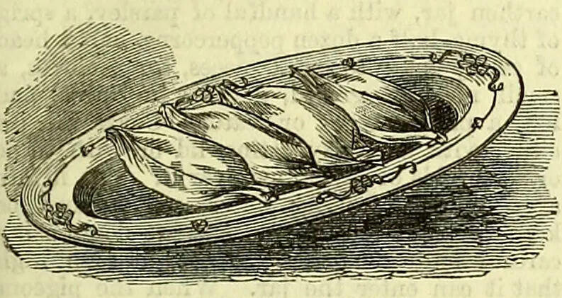 An illustration from Cassell's dictionary of cookery, with numerous engravings and full-page coloured plates : containing about nine thousand recipes., 1880, leaf 683