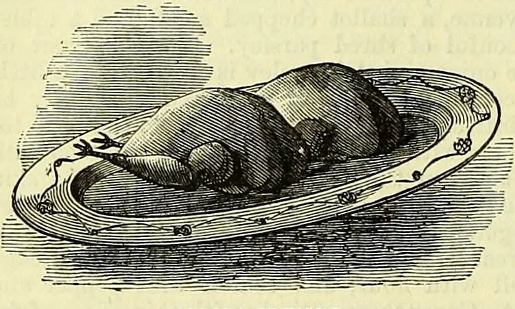 An illustration from Cassell's dictionary of cookery, with numerous engravings and full-page coloured plates : containing about nine thousand recipes., 1880, leaf 688