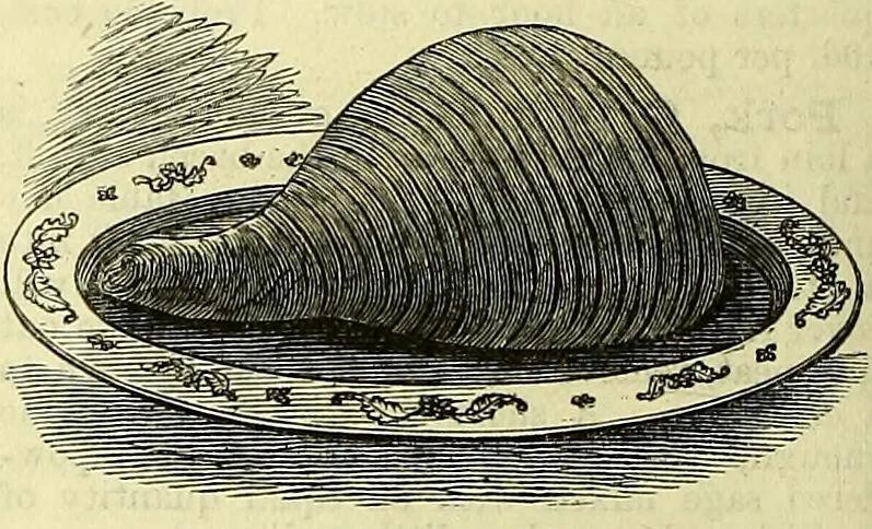 An illustration from Cassell's dictionary of cookery, with numerous engravings and full-page coloured plates : containing about nine thousand recipes., 1880, leaf 728