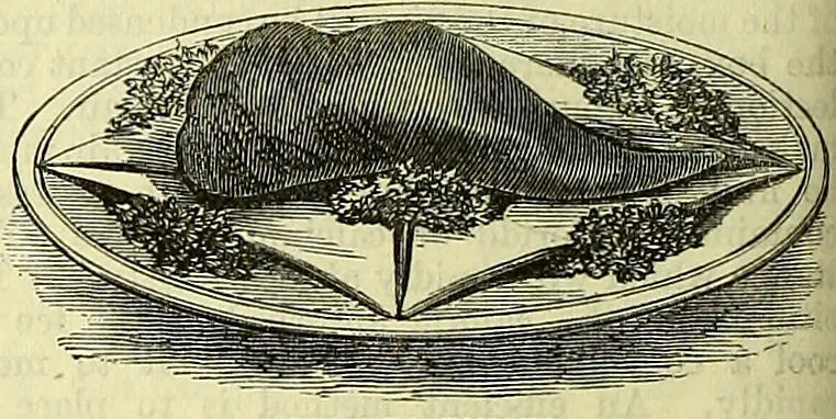 An illustration from Cassell's dictionary of cookery, with numerous engravings and full-page coloured plates : containing about nine thousand recipes., 1880, leaf 850