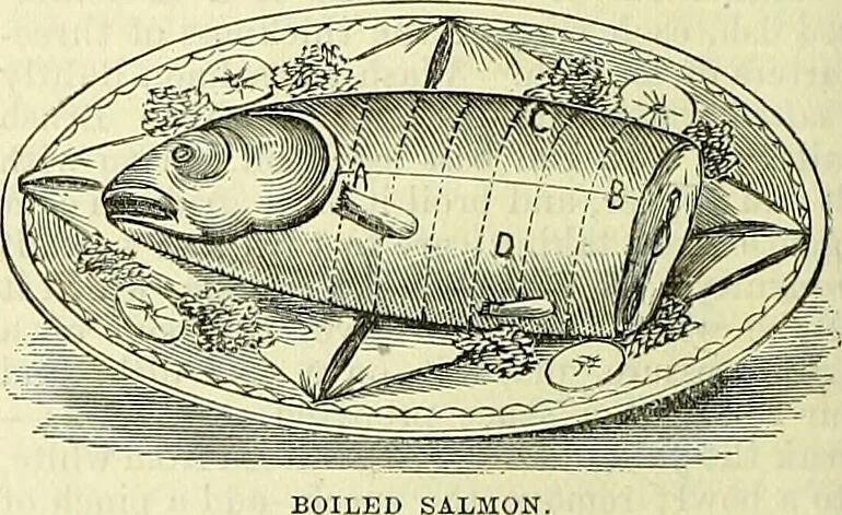 An illustration from Cassell's dictionary of cookery, with numerous engravings and full-page coloured plates : containing about nine thousand recipes., 1880, leaf 928