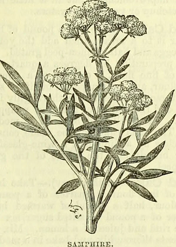 An illustration from Cassell's dictionary of cookery, with numerous engravings and full-page coloured plates : containing about nine thousand recipes., 1880, leaf 949