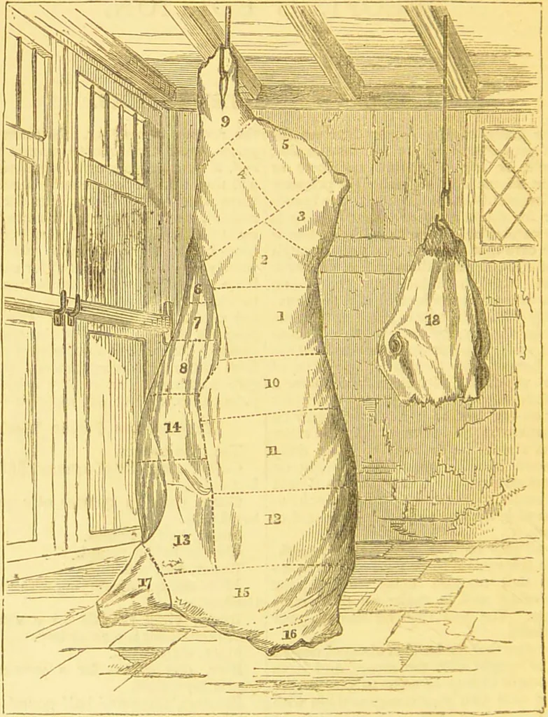 An illustration from Warne's model cookery and housekeeping book : containing complete instructions in household management / compiled and edited by Mary Jewry., 1871, leaf 12