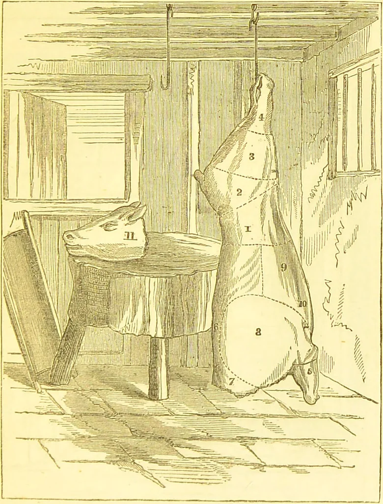 An illustration from Warne's model cookery and housekeeping book : containing complete instructions in household management / compiled and edited by Mary Jewry., 1871, leaf 13