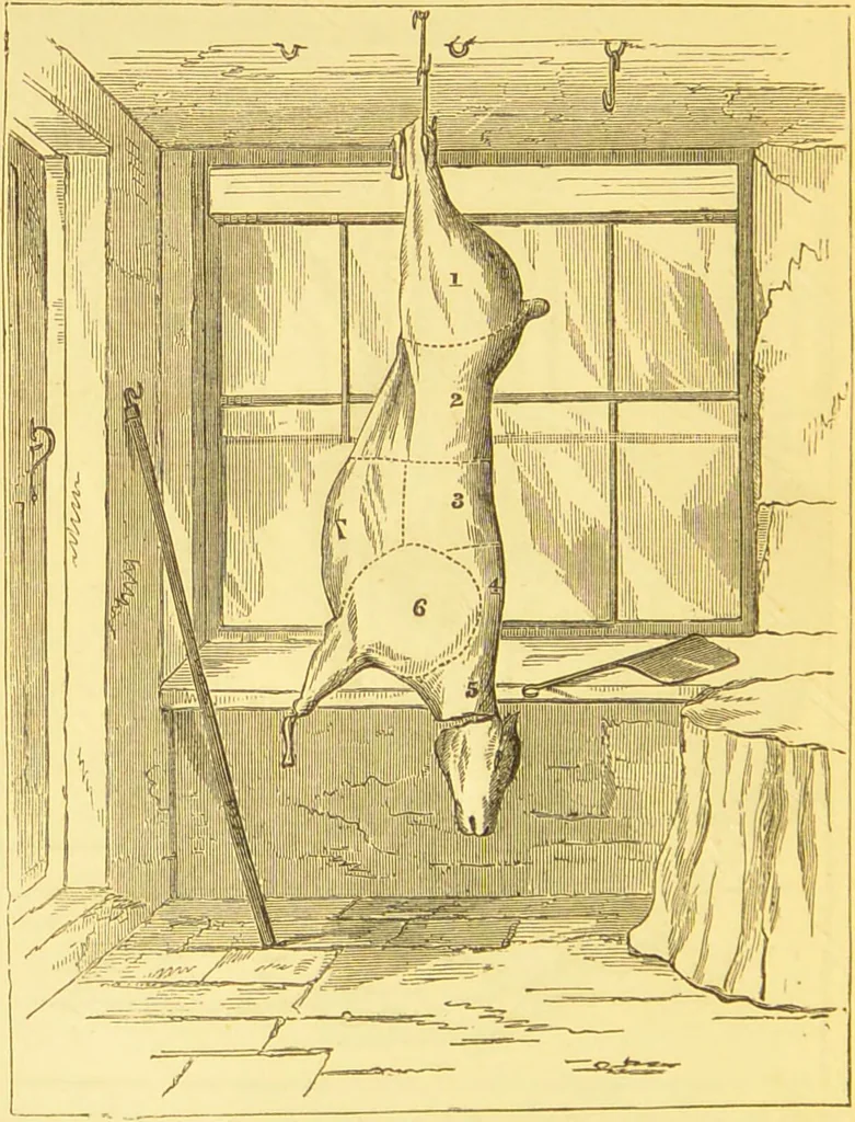 An illustration from Warne's model cookery and housekeeping book : containing complete instructions in household management / compiled and edited by Mary Jewry., 1871, leaf 14