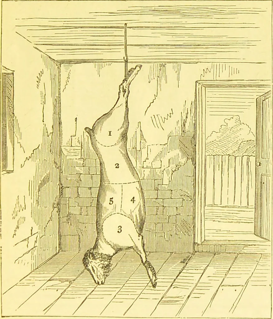 An illustration from Warne's model cookery and housekeeping book : containing complete instructions in household management / compiled and edited by Mary Jewry., 1871, leaf 15