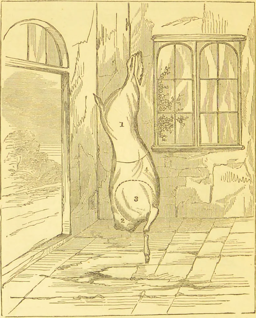An illustration from Warne's model cookery and housekeeping book : containing complete instructions in household management / compiled and edited by Mary Jewry., 1871, leaf 16