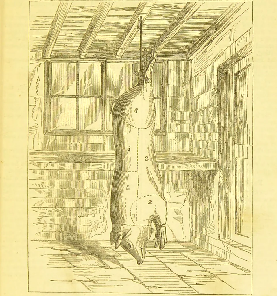 An illustration from Warne's model cookery and housekeeping book : containing complete instructions in household management / compiled and edited by Mary Jewry., 1871, leaf 17