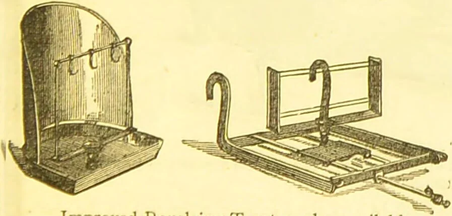 An illustration from Warne's model cookery and housekeeping book : containing complete instructions in household management / compiled and edited by Mary Jewry., 1871, leaf 27