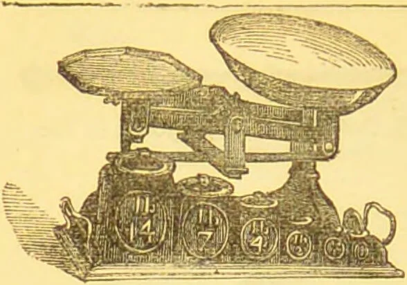 An illustration from Warne's model cookery and housekeeping book : containing complete instructions in household management / compiled and edited by Mary Jewry., 1871, leaf 28