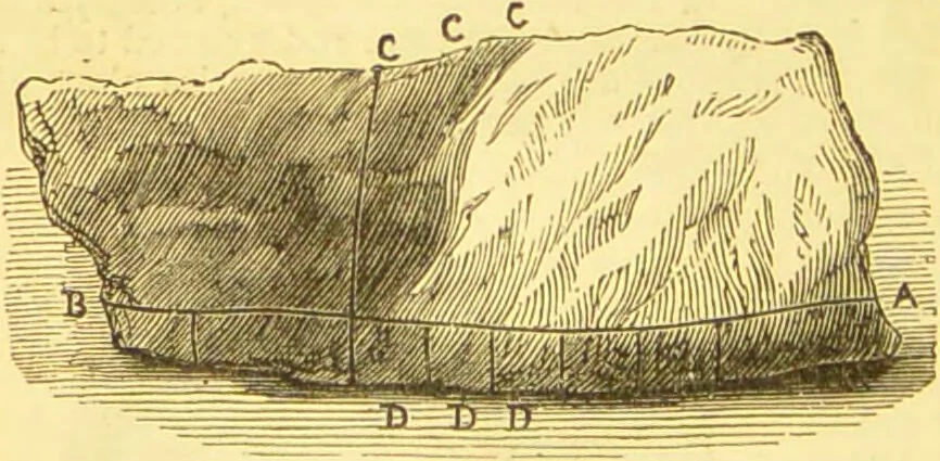 An illustration from Warne's model cookery and housekeeping book : containing complete instructions in household management / compiled and edited by Mary Jewry., 1871, leaf 34