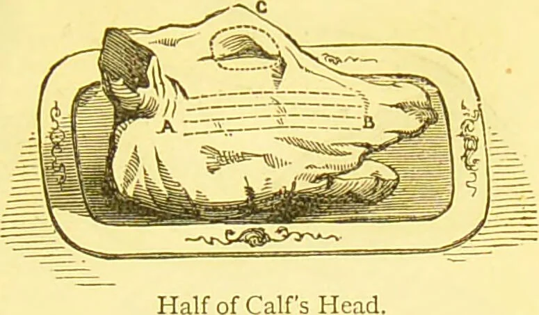 An illustration from Warne's model cookery and housekeeping book : containing complete instructions in household management / compiled and edited by Mary Jewry., 1871, leaf 35