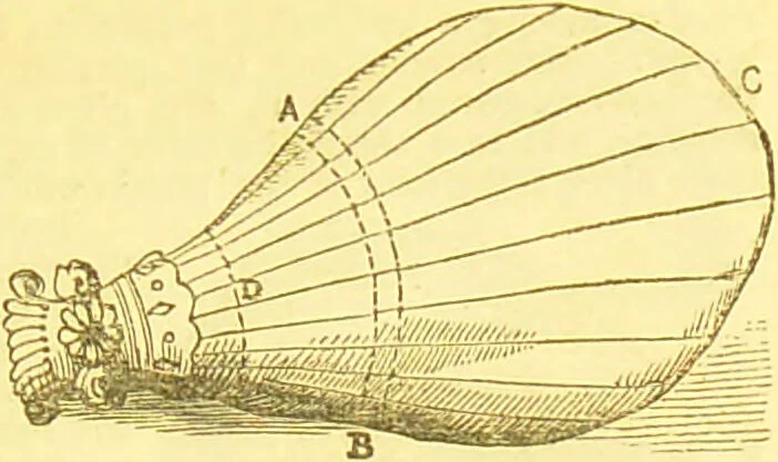 An illustration from Warne's model cookery and housekeeping book : containing complete instructions in household management / compiled and edited by Mary Jewry., 1871, leaf 37
