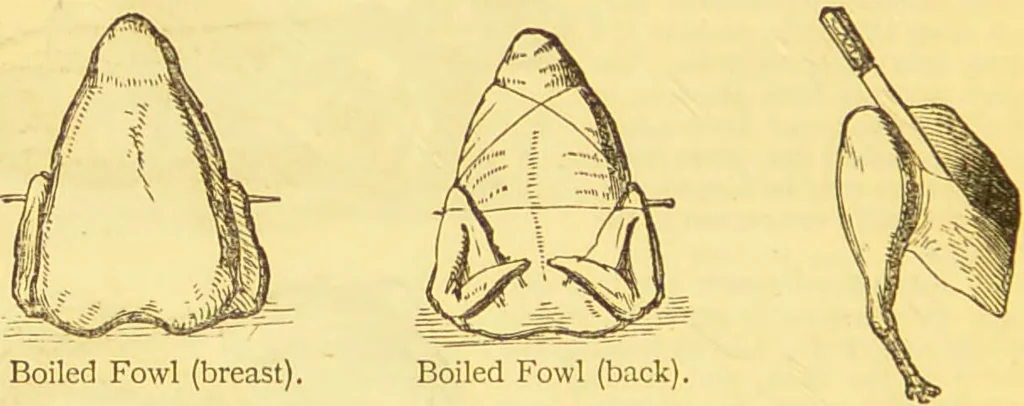 An illustration from Warne's model cookery and housekeeping book : containing complete instructions in household management / compiled and edited by Mary Jewry., 1871, leaf 38