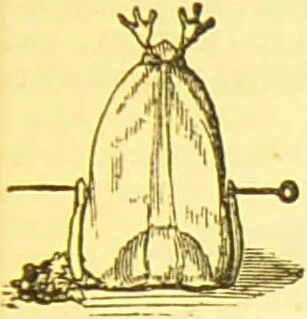An illustration from Warne's model cookery and housekeeping book : containing complete instructions in household management / compiled and edited by Mary Jewry., 1871, leaf 39