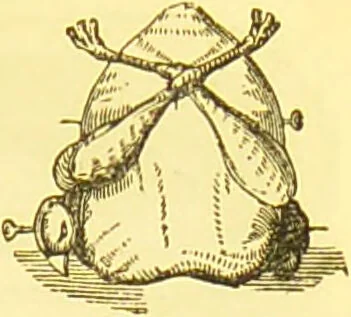 An illustration from Warne's model cookery and housekeeping book : containing complete instructions in household management / compiled and edited by Mary Jewry., 1871, leaf 39