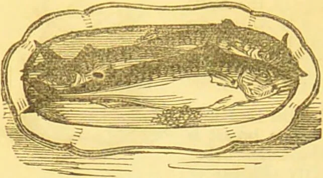 An illustration from Warne's model cookery and housekeeping book : containing complete instructions in household management / compiled and edited by Mary Jewry., 1871, leaf 40