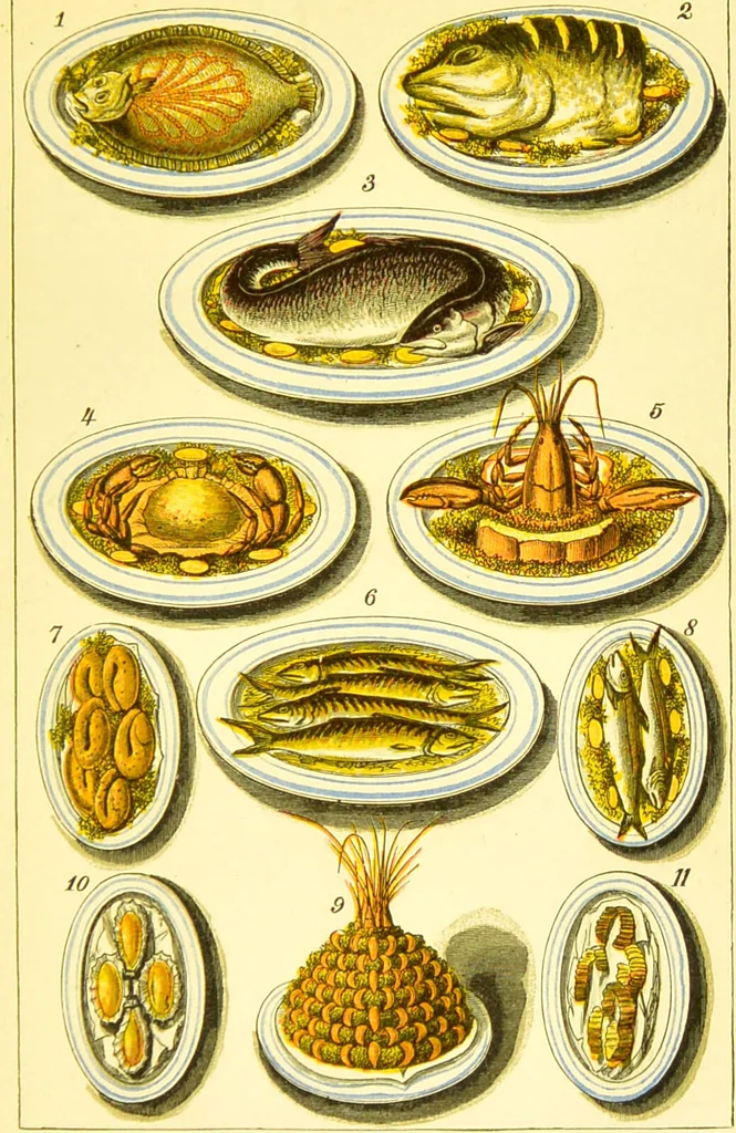 An illustration from Warne's model cookery and housekeeping book : containing complete instructions in household management / compiled and edited by Mary Jewry., 1871, leaf 49