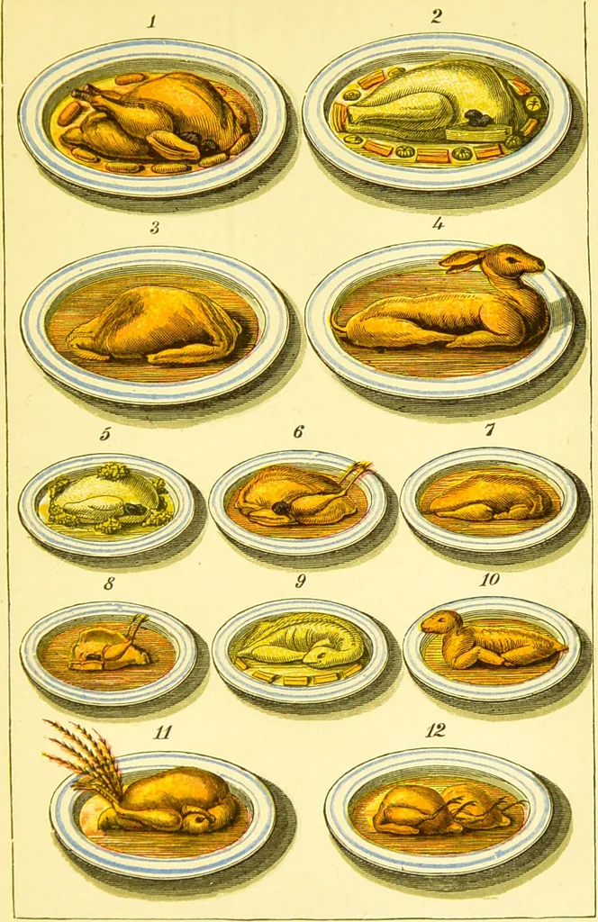 An illustration from Warne's model cookery and housekeeping book : containing complete instructions in household management / compiled and edited by Mary Jewry., 1871, leaf 95