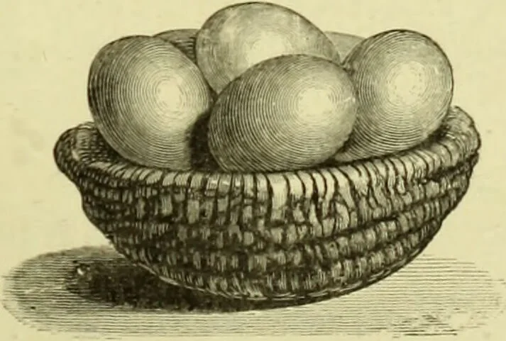 An illustration from The royal cookery book (le livre de cuisine) / by Jules Gouffé ; translated from the French and adapted for English use by Alphonse Gouffé ... comprising domestic and high-class cookery, illustrated with sixteen large plates printed in colours, and one hundred and sixty-one woodcuts from drawings from nature by E. Ronjat., 1883, leaf 101