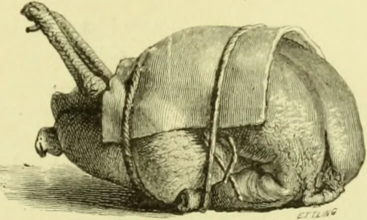 An illustration from The royal cookery book (le livre de cuisine) / by Jules Gouffé ; translated from the French and adapted for English use by Alphonse Gouffé ... comprising domestic and high-class cookery, illustrated with sixteen large plates printed in colours, and one hundred and sixty-one woodcuts from drawings from nature by E. Ronjat., 1883, leaf 107