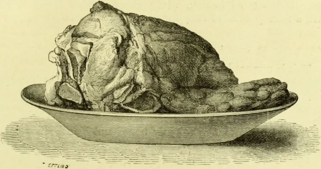 An illustration from The royal cookery book (le livre de cuisine) / by Jules Gouffé ; translated from the French and adapted for English use by Alphonse Gouffé ... comprising domestic and high-class cookery, illustrated with sixteen large plates printed in colours, and one hundred and sixty-one woodcuts from drawings from nature by E. Ronjat., 1883, leaf 127