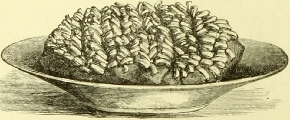 An illustration from The royal cookery book (le livre de cuisine) / by Jules Gouffé ; translated from the French and adapted for English use by Alphonse Gouffé ... comprising domestic and high-class cookery, illustrated with sixteen large plates printed in colours, and one hundred and sixty-one woodcuts from drawings from nature by E. Ronjat., 1883, leaf 134