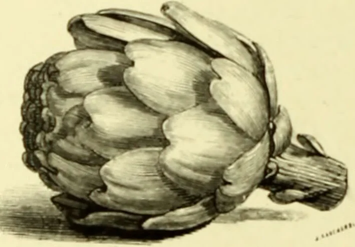 An illustration from The royal cookery book (le livre de cuisine) / by Jules Gouffé ; translated from the French and adapted for English use by Alphonse Gouffé ... comprising domestic and high-class cookery, illustrated with sixteen large plates printed in colours, and one hundred and sixty-one woodcuts from drawings from nature by E. Ronjat., 1883, leaf 216