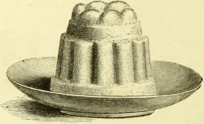 An illustration from The royal cookery book (le livre de cuisine) / by Jules Gouffé ; translated from the French and adapted for English use by Alphonse Gouffé ... comprising domestic and high-class cookery, illustrated with sixteen large plates printed in colours, and one hundred and sixty-one woodcuts from drawings from nature by E. Ronjat., 1883, leaf 236