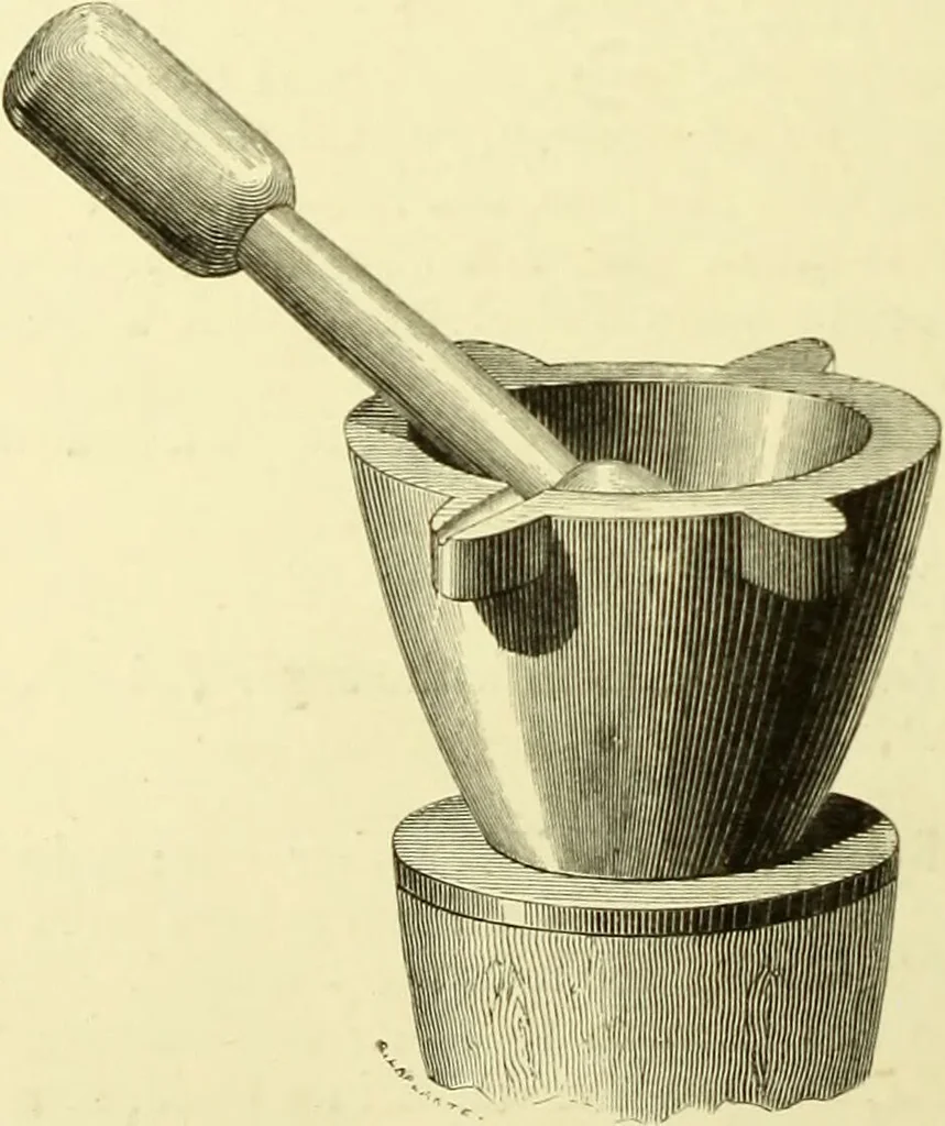 An illustration from The royal cookery book (le livre de cuisine) / by Jules Gouffé ; translated from the French and adapted for English use by Alphonse Gouffé ... comprising domestic and high-class cookery, illustrated with sixteen large plates printed in colours, and one hundred and sixty-one woodcuts from drawings from nature by E. Ronjat., 1883, leaf 240