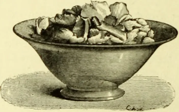 An illustration from The royal cookery book (le livre de cuisine) / by Jules Gouffé ; translated from the French and adapted for English use by Alphonse Gouffé ... comprising domestic and high-class cookery, illustrated with sixteen large plates printed in colours, and one hundred and sixty-one woodcuts from drawings from nature by E. Ronjat., 1883, leaf 254