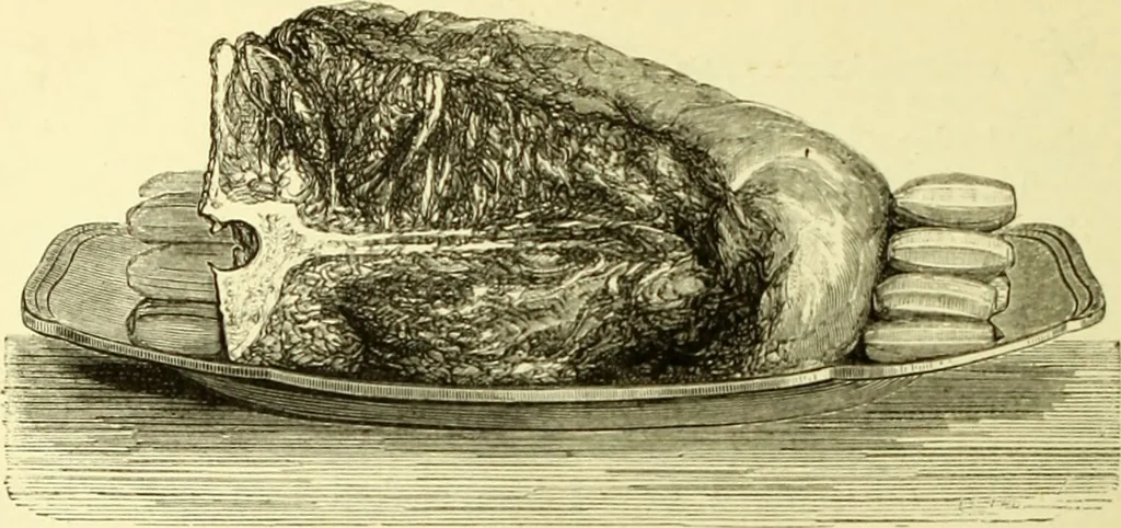 An illustration from The royal cookery book (le livre de cuisine) / by Jules Gouffé ; translated from the French and adapted for English use by Alphonse Gouffé ... comprising domestic and high-class cookery, illustrated with sixteen large plates printed in colours, and one hundred and sixty-one woodcuts from drawings from nature by E. Ronjat., 1883, leaf 370