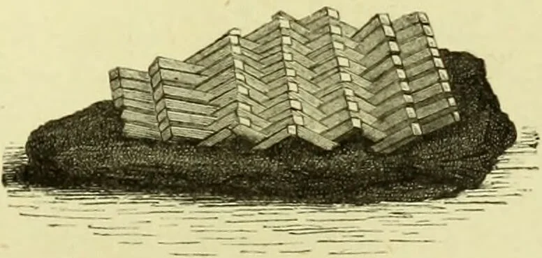 An illustration from The royal cookery book (le livre de cuisine) / by Jules Gouffé ; translated from the French and adapted for English use by Alphonse Gouffé ... comprising domestic and high-class cookery, illustrated with sixteen large plates printed in colours, and one hundred and sixty-one woodcuts from drawings from nature by E. Ronjat., 1883, leaf 383