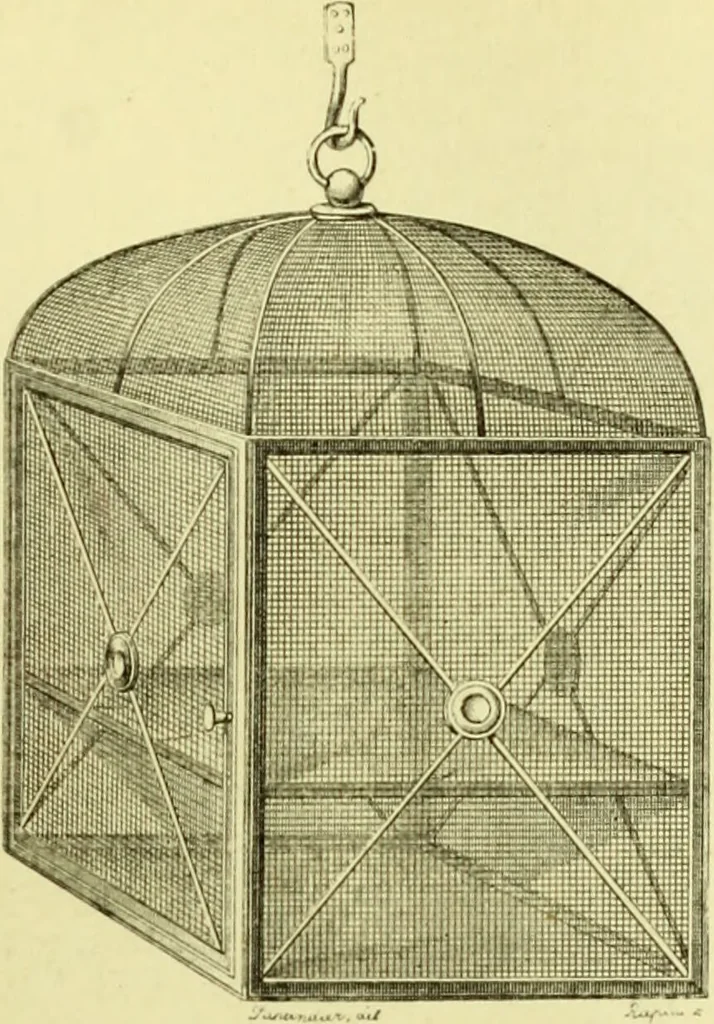 An illustration from The royal cookery book (le livre de cuisine) / by Jules Gouffé ; translated from the French and adapted for English use by Alphonse Gouffé ... comprising domestic and high-class cookery, illustrated with sixteen large plates printed in colours, and one hundred and sixty-one woodcuts from drawings from nature by E. Ronjat., 1883, leaf 39