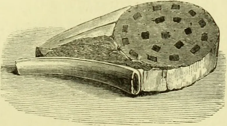 An illustration from The royal cookery book (le livre de cuisine) / by Jules Gouffé ; translated from the French and adapted for English use by Alphonse Gouffé ... comprising domestic and high-class cookery, illustrated with sixteen large plates printed in colours, and one hundred and sixty-one woodcuts from drawings from nature by E. Ronjat., 1883, leaf 403