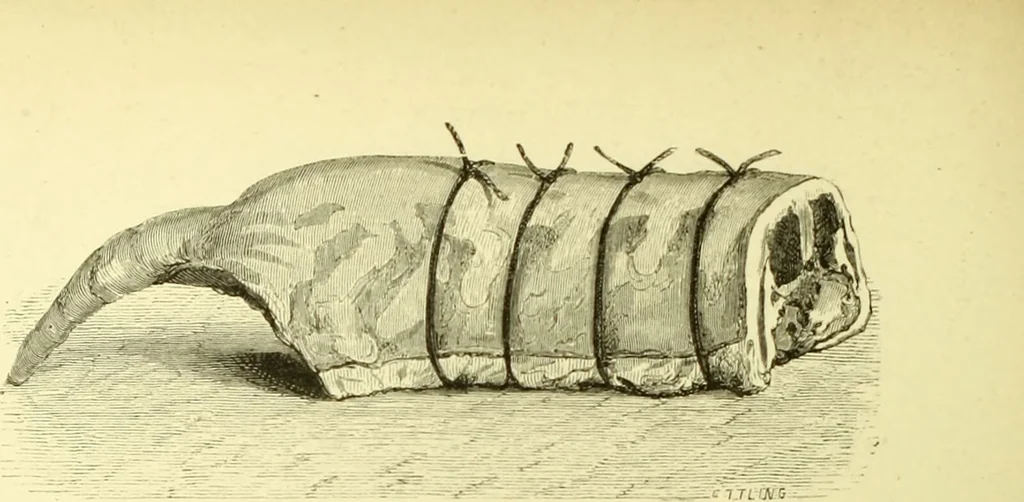 An illustration from The royal cookery book (le livre de cuisine) / by Jules Gouffé ; translated from the French and adapted for English use by Alphonse Gouffé ... comprising domestic and high-class cookery, illustrated with sixteen large plates printed in colours, and one hundred and sixty-one woodcuts from drawings from nature by E. Ronjat., 1883, leaf 404