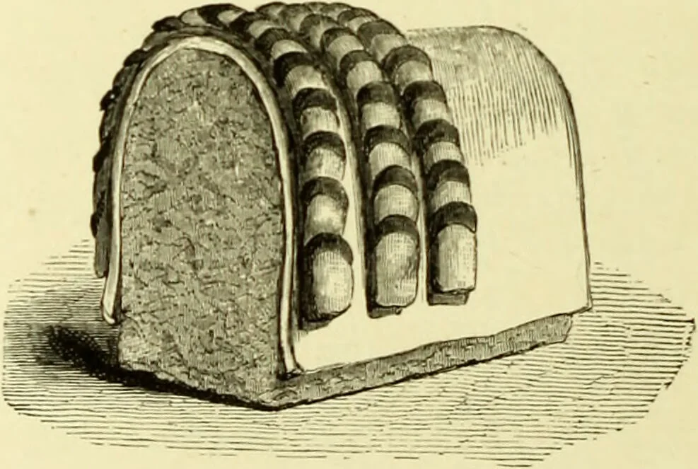 An illustration from The royal cookery book (le livre de cuisine) / by Jules Gouffé ; translated from the French and adapted for English use by Alphonse Gouffé ... comprising domestic and high-class cookery, illustrated with sixteen large plates printed in colours, and one hundred and sixty-one woodcuts from drawings from nature by E. Ronjat., 1883, leaf 470